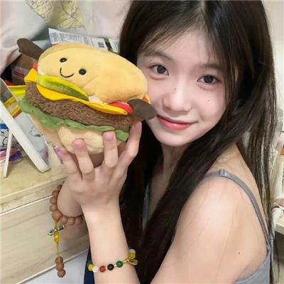 圣诞日记